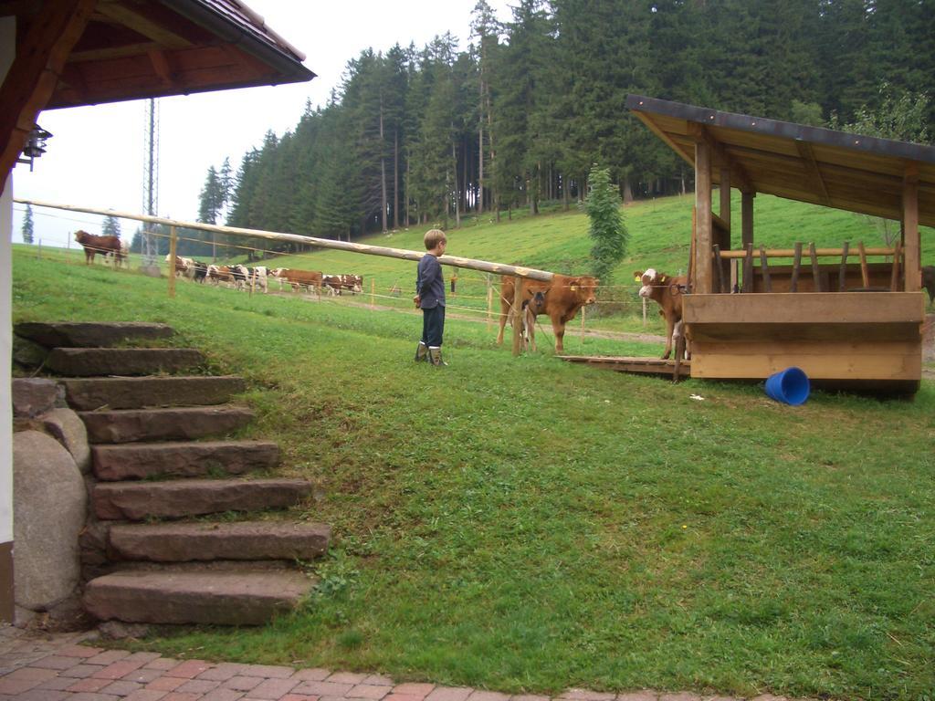 Willmannshof Apartamento Furtwangen Exterior foto