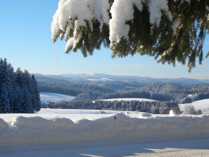 Willmannshof Apartamento Furtwangen Exterior foto