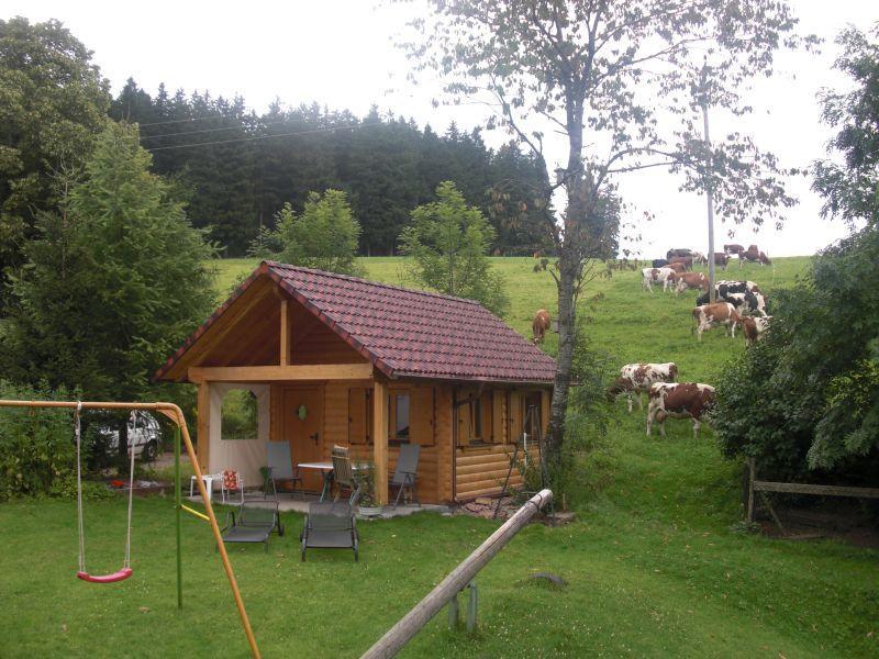 Willmannshof Apartamento Furtwangen Exterior foto